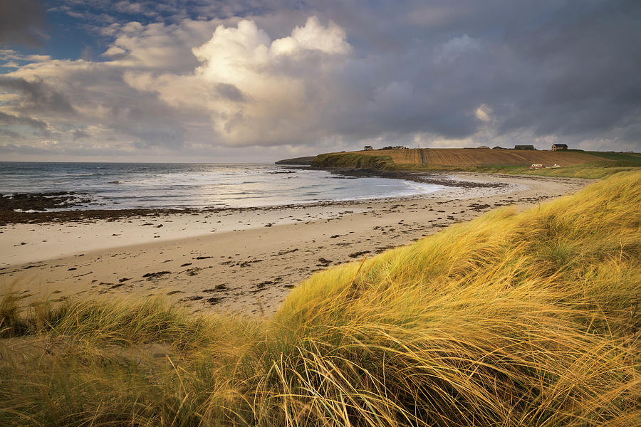 Taracliff Bay At Dawn, Mainland, Orkney Isles, Scotland Photograph by ...