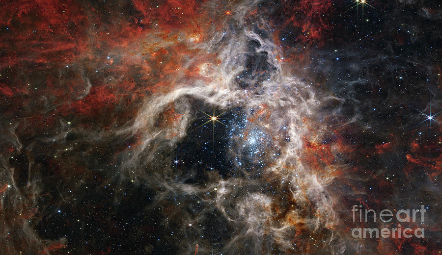Tarantula Nebula Photograph by Nasa, Esa, Csa, Stsci, Webb Ero Production Team/science Photo Library