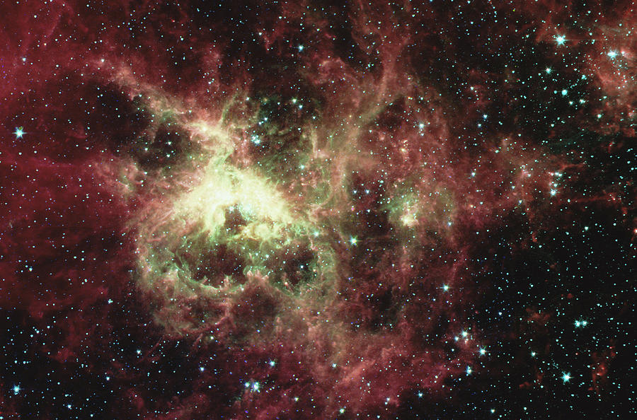 Tarantula Nebula Photograph by Stocktrek