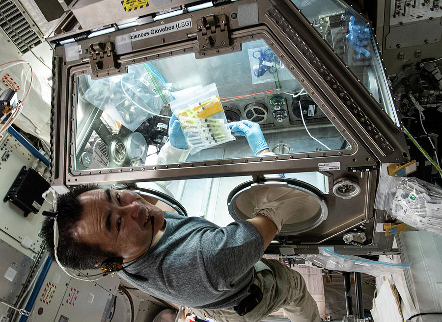 Tardigrade Study Glovebox On Iss Photograph by Science Source