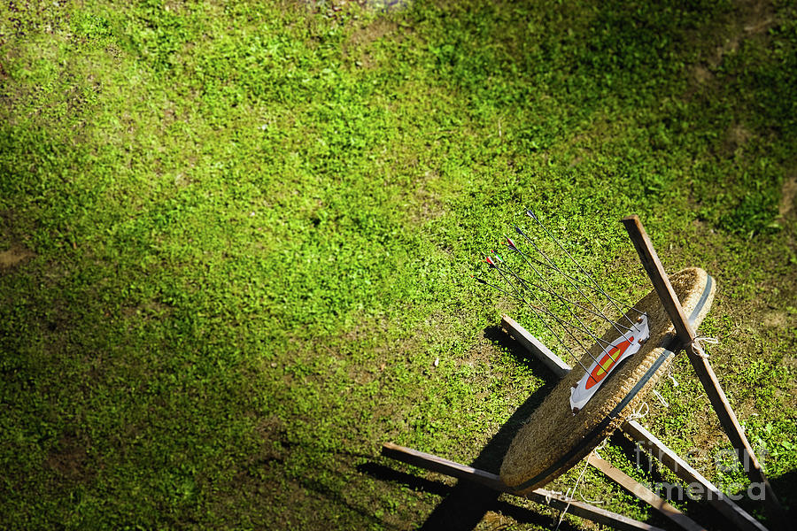 Target Grass Top View Archery Competition Background Green Photograph by Luca Lorenzelli