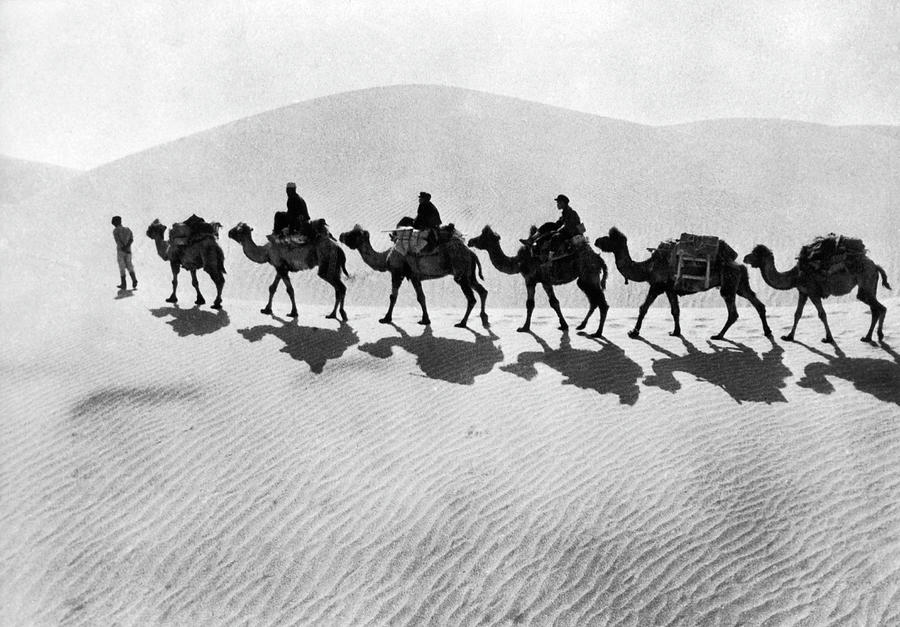 Tarim Desert. Chinese Exploration Photograph by Keystone-france