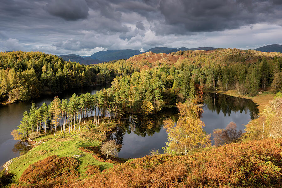 Tarn Hows, Late Evening Light In Autumn, Near Coniston, The Photograph by Ross Hoddinott / Naturepl.com Tarn Hows, Late Evening Light In Autumn, Near Coniston, The Photograph by Ross Hoddinott / Naturepl.com