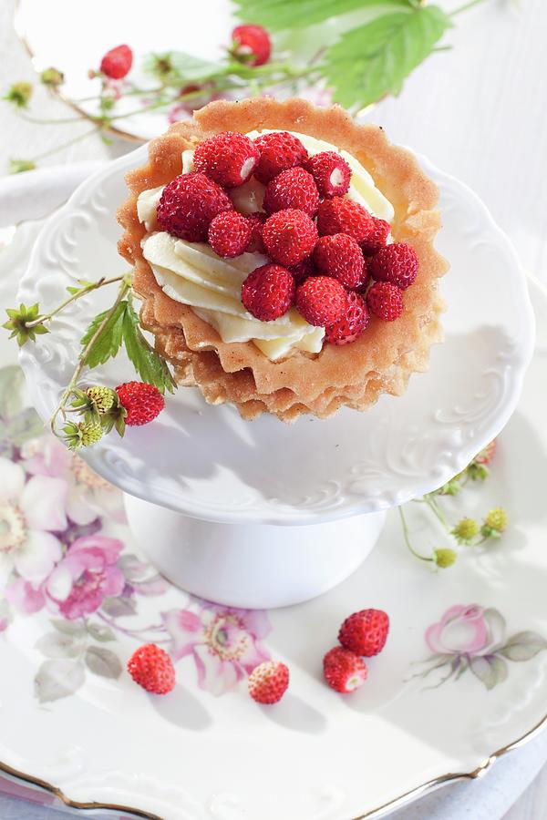 Tartlet With Cream And Wild Strawberries Photograph by Wawrzyniak.asia