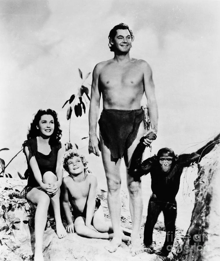 Tarzan, 1941 Photograph by Granger