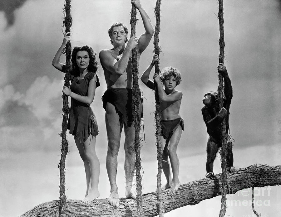 Tarzan, Jane, Boy, And Chimp Photograph by Bettmann