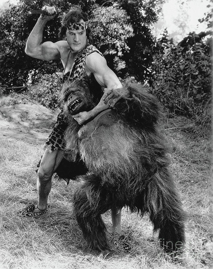 Tarzan Wrestling With An Ape Photograph by Bettmann
