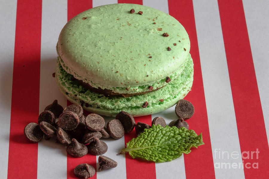 Cookie Photograph - Tasty Chocolate Mint Macarons by Elisabeth Lucas