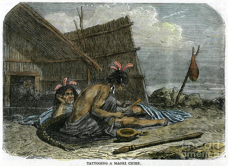 Tattooing A Maori Chief, New Zealand Drawing by Print Collector