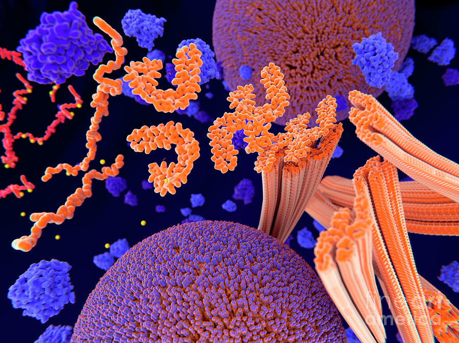 Tau Protein In Alzheimers Disease Photograph by Juan Gaertner/science Photo Library