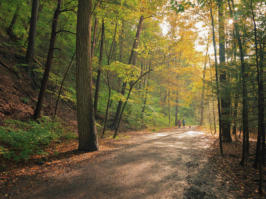 Taughannock Falls Gorge Trail in Autumn by David Lamb Taughannock Falls Gorge Trail in Autumn by David Lamb