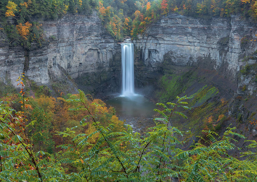 Taughannock Falls Overlook Photograph by Dan Sproul