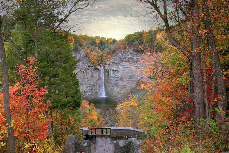 Taughannock Foliage Photograph by Jessica Jenney