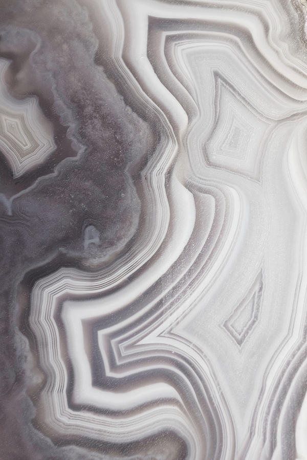 Taupe Agate One Photograph by Lupen Grainne