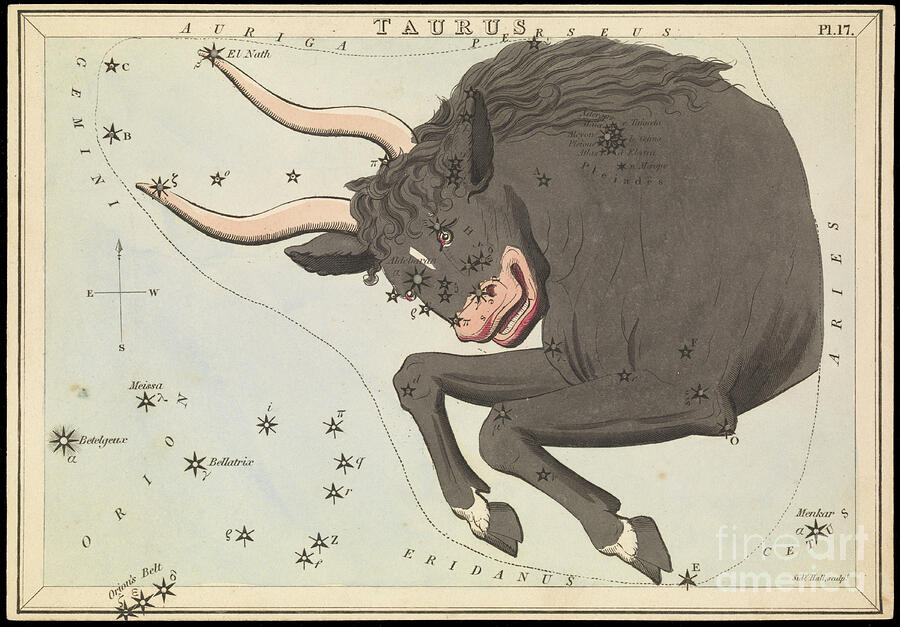 Taurus, Circa 1825 Card, Paper, Tissue Mixed Media by Sydney Hall