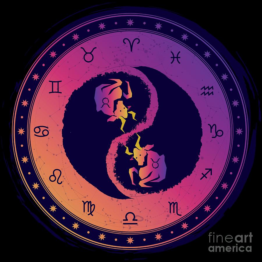 Taurus Second Zodiac Sign Yin Yang by Studio Metzger