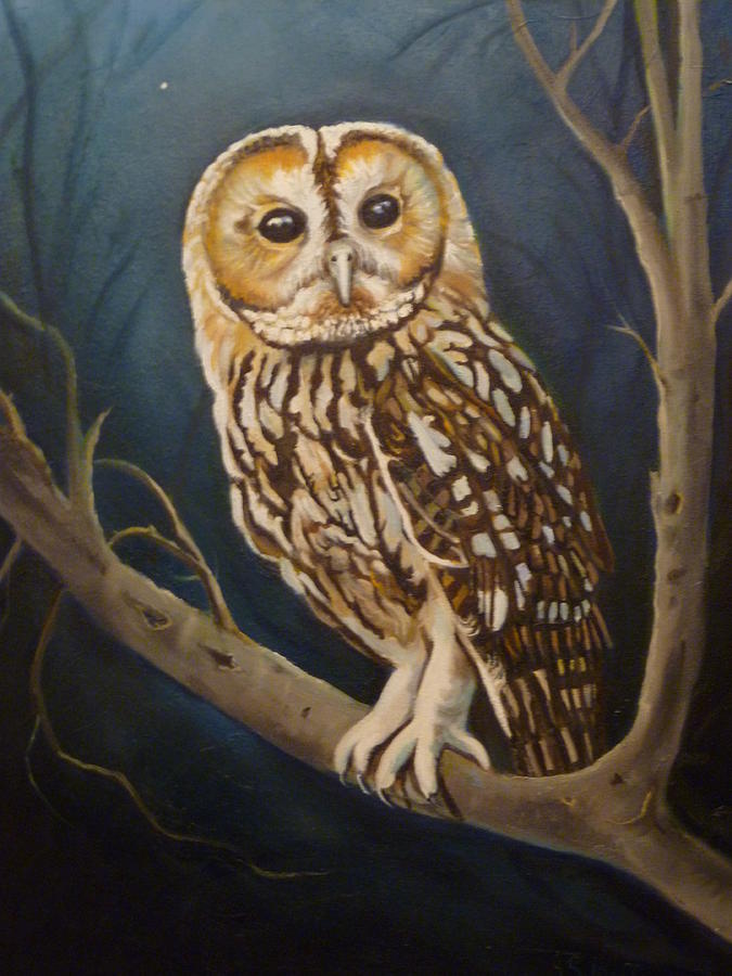 Tawny Owl Painting  by Janet Silkoff