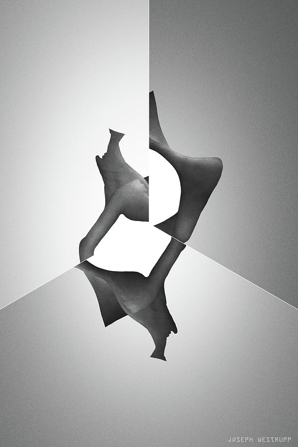 Taxon Sable - Surreal Abstract Seashell Collage by Joseph Westrupp Taxon Sable - Surreal Abstract Seashell Collage by Joseph Westrupp