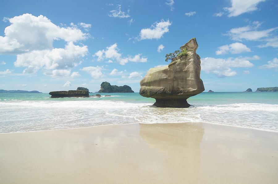 Te Horo Rock, Cathedral Cove Photograph by Robin Galloway