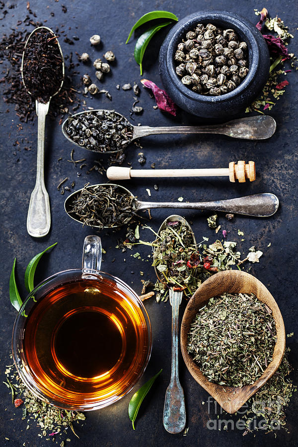 Hot Photograph - Tea Composition With Different Kind Of by Natalia Klenova Hot Photograph - Tea Composition With Different Kind Of by Natalia Klenova