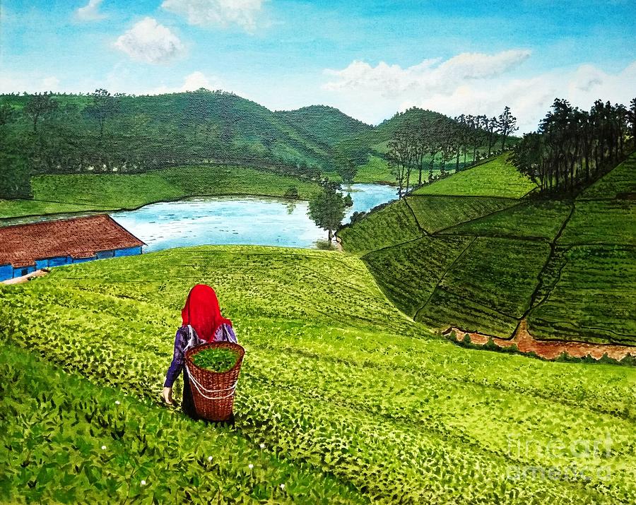 Tea Picker Painting by Pooja Bhat - Fine Art America