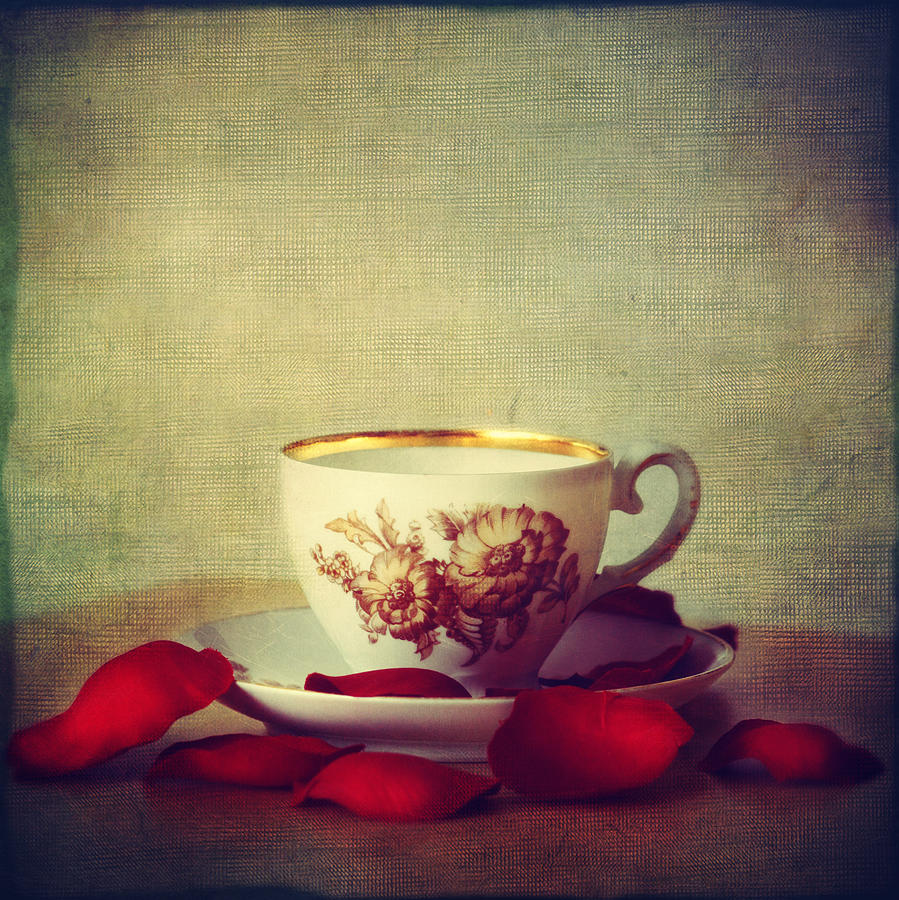 Tea Time Photograph by Julia Davila-lampe