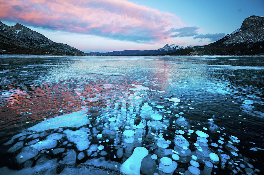 Teal Sunset and Bubbles Photograph by Alex Mironyuk - Fine Art America