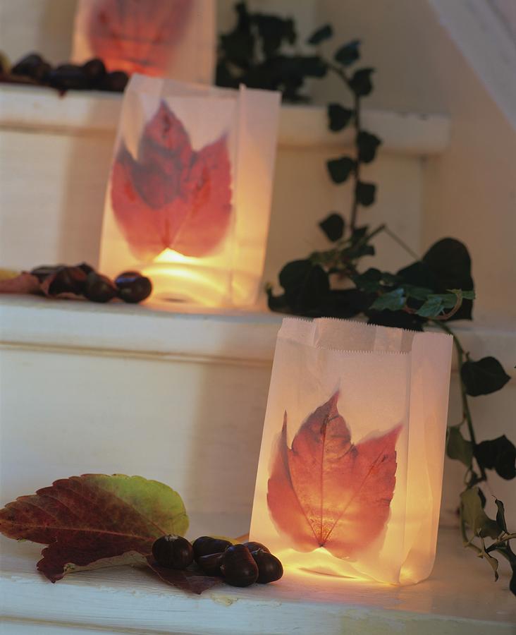 Tealights In Paper Bags Decorated With Virginia Creeper Leaves On Stairs Photograph by Matteo Manduzio