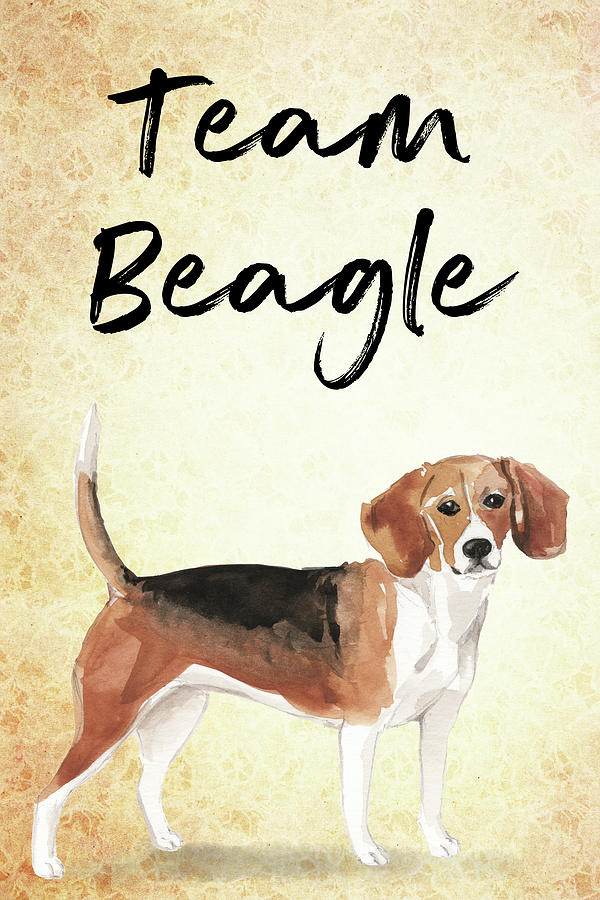 Team Beagle cute Art for Dog lovers Painting by Matthias Hauser