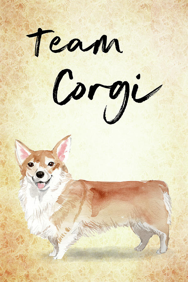 Team Corgi cute dog Painting by Matthias Hauser