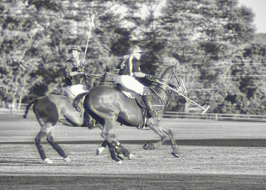 Team Polo Playing Photograph by JAMART Photography