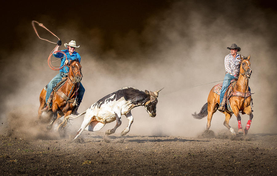Team Roping by Frank Ma