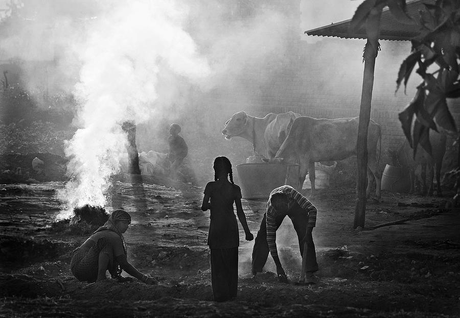 Agra Photograph - Teamwork by Lou Urlings
