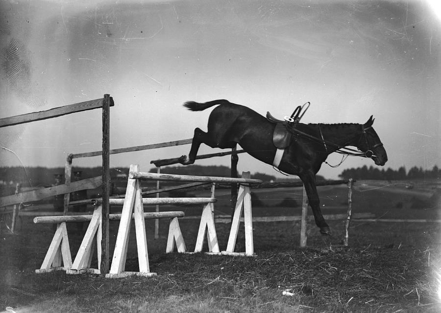 Tearaway Horse Photograph by W. G. Phillips