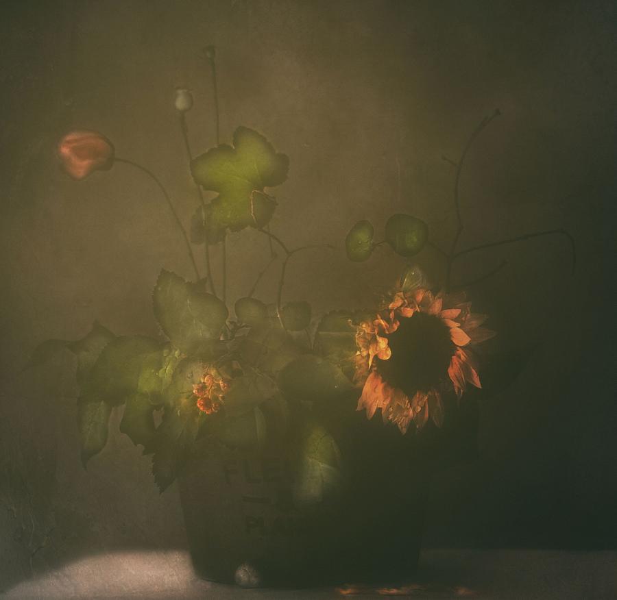 Sunflower Photograph - Tears Of Sunflower by Delphine Devos