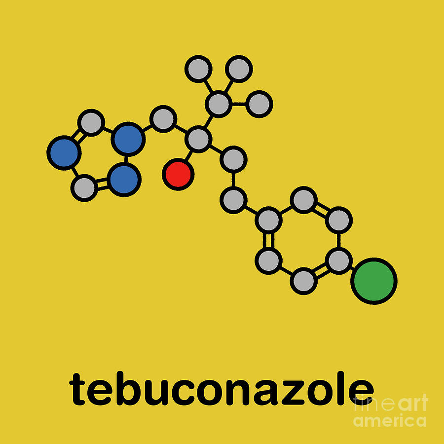 Ring Photograph - Tebuconazole Fungicide Molecule by Molekuul/science Photo Library