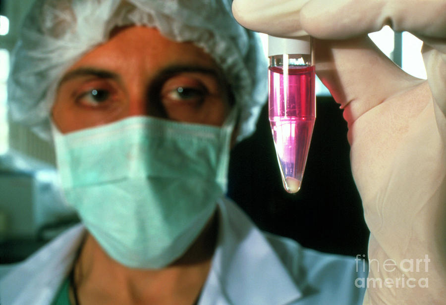 Technician Holding Centrifuge Tube Of Human Sperm Photograph By Pascal Goetgheluckscience Photo 2470