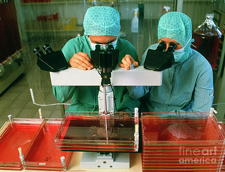 Technicians Examine Pharmaceutical Preparations Photograph by Maximilian Stock Ltd/science Photo Library