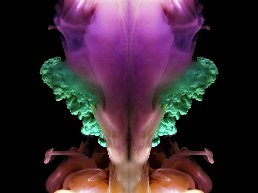 Technicolor Flower Abstract Photograph by Eugene Campbell