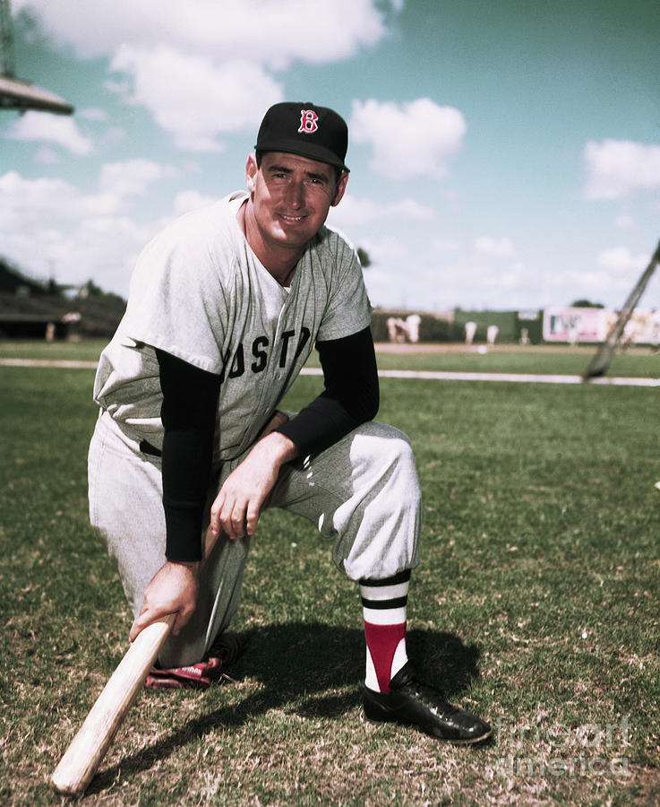 TED WILLIAMS at bat color portrait NICE 8x10 RED SOX