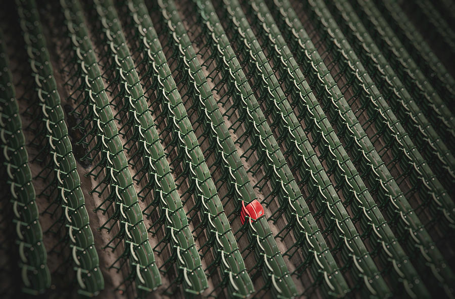 Ted Williams Photograph - Ted Williams Red Seat - Fenway Park by Joann Vitali