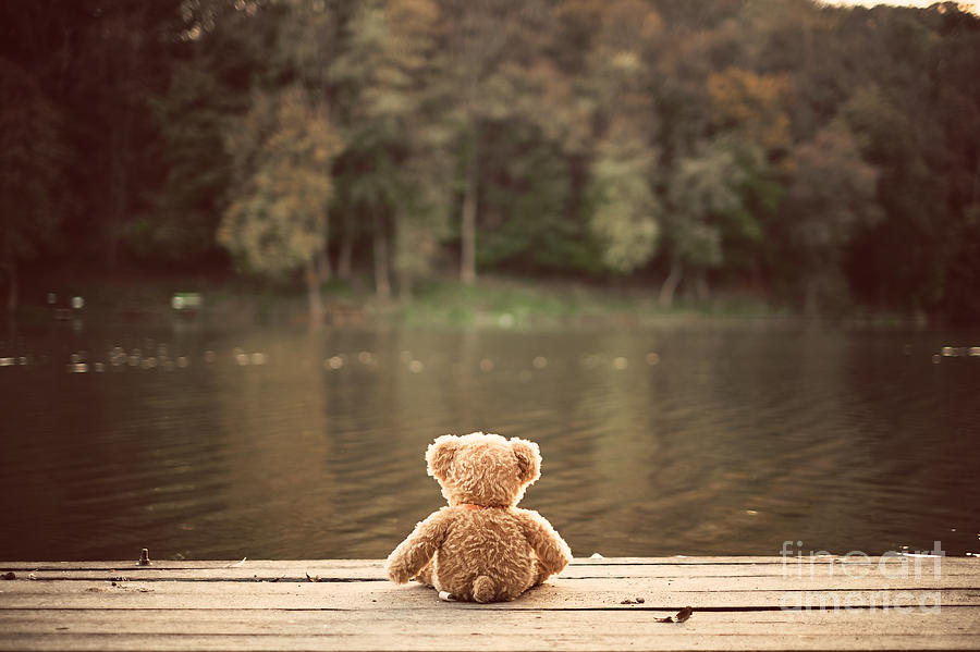 Gift Photograph - Teddy Bear by Creaturart Images Gift Photograph - Teddy Bear by Creaturart Images