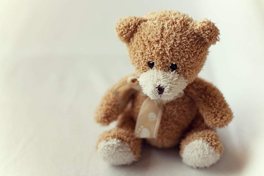 Teddy Bear Photograph by I Like To Capture Special And Ordinary Moments.