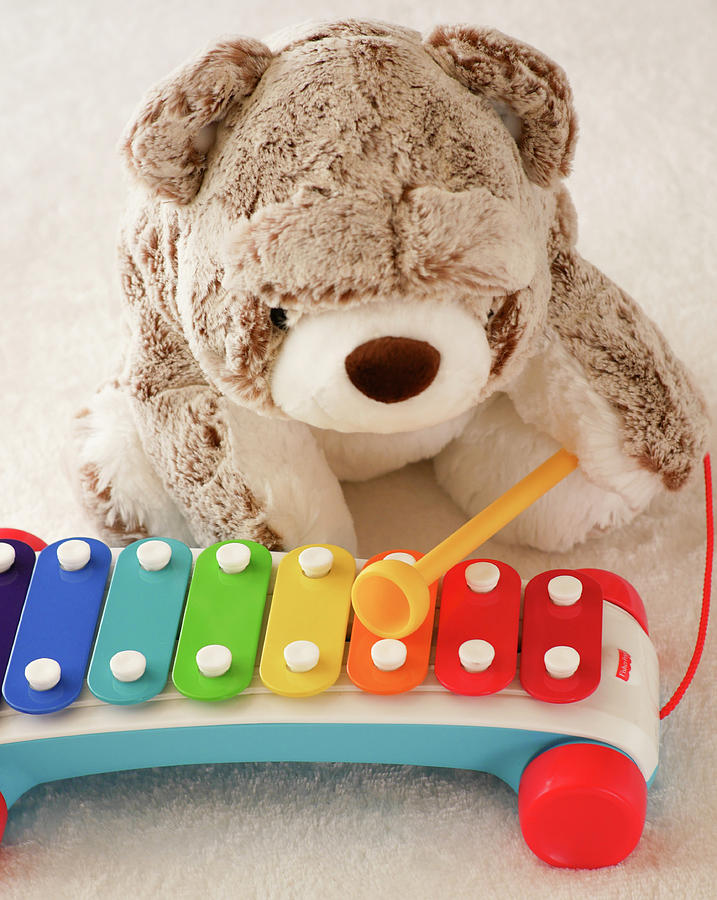 teddy xylophone