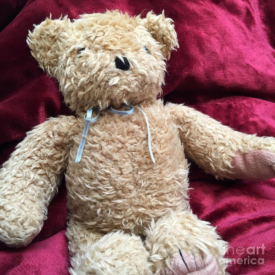 teddy bear with blue ribbon