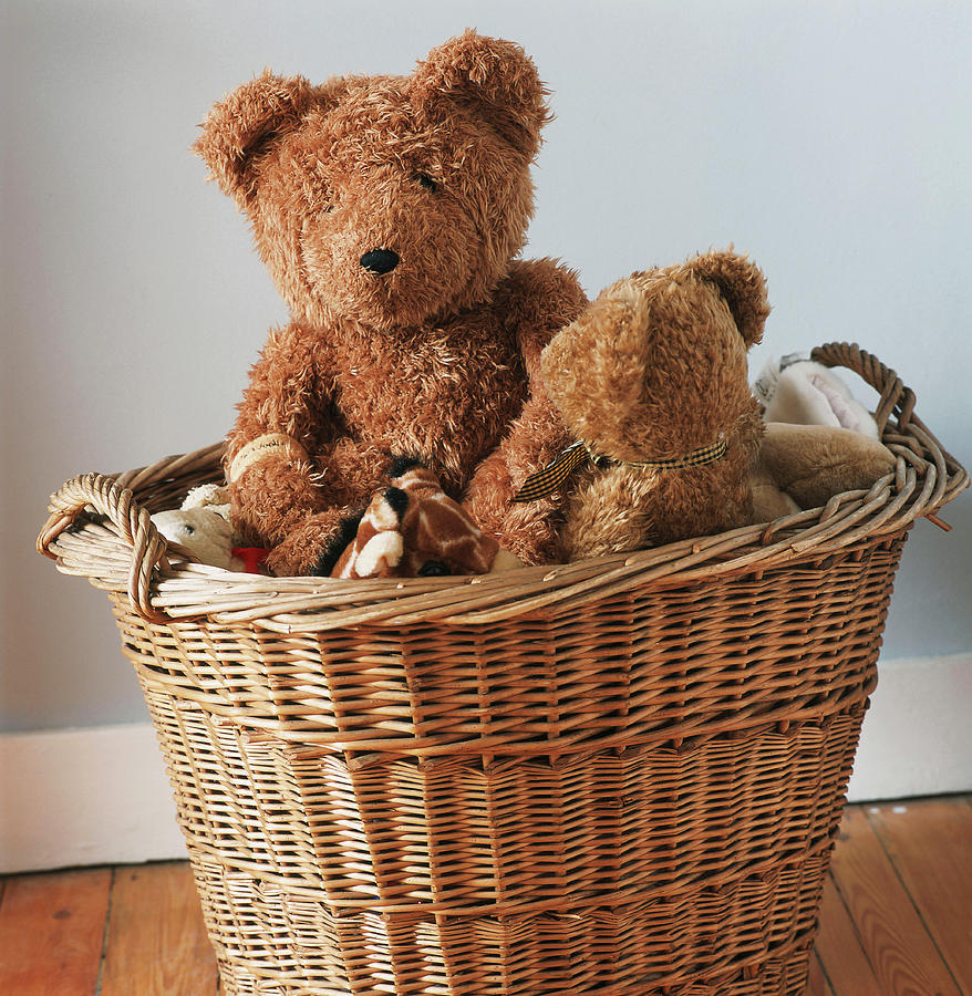 Teddy Bears In Basket Photograph by Luc Wauman