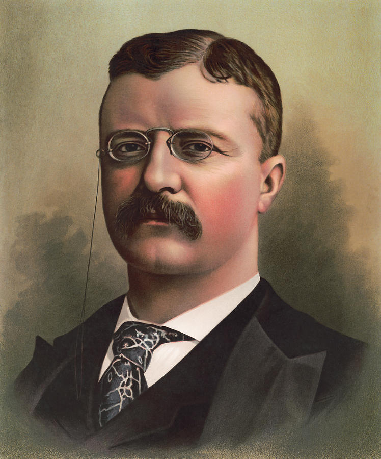 Teddy Roosevelt Color Portrait  Painting by War Is Hell Store