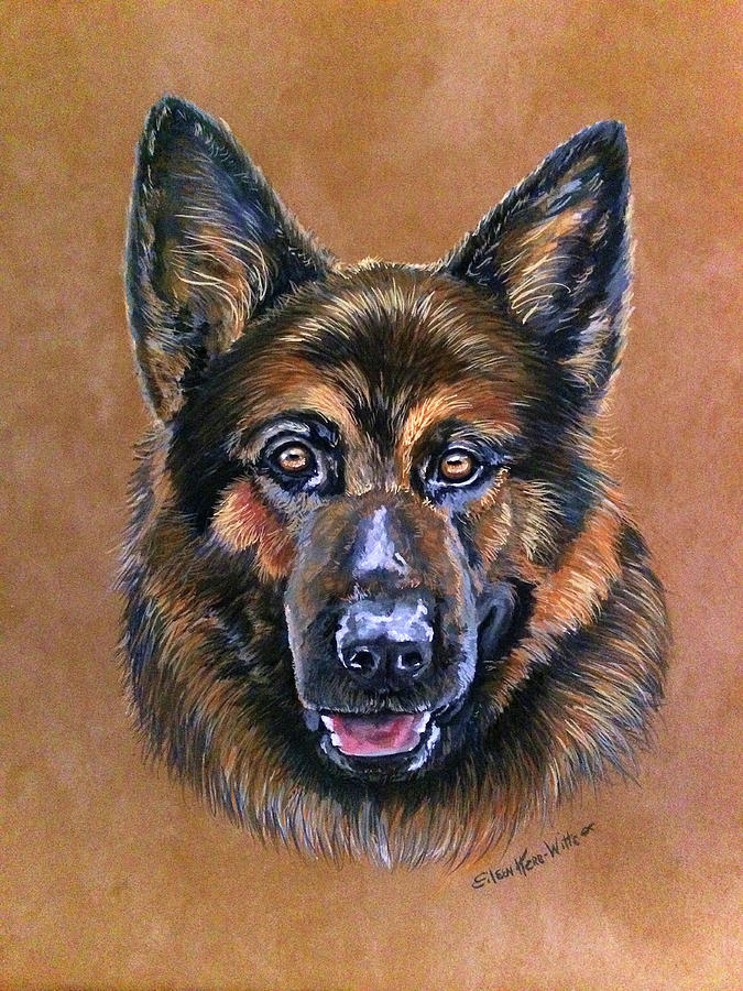 Dog Painting - Teddy The Shepherd by Eileen Herb-witte