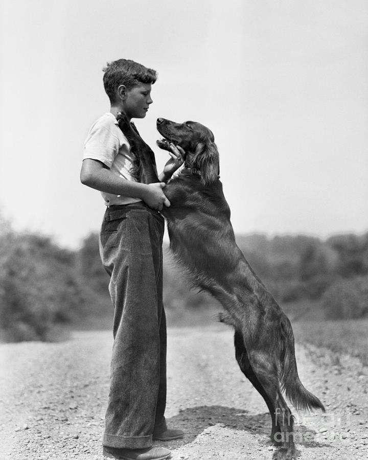 Teenage Boy With Irish Setter Photograph by Bettmann
