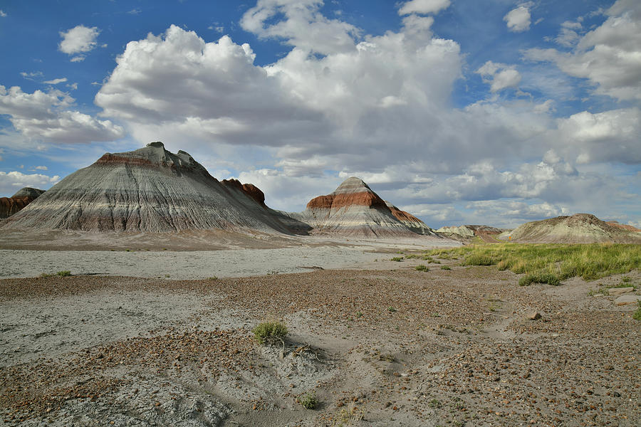 Teepees along Park Road in Petrified Forest NP Photograph by Ray Mathis